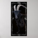 Suche nach schwarze magie poster Halloween