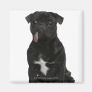 Suche nach sitzender hund magnete Haustiere