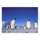 Recherche de habitat cartes postales Antarctique