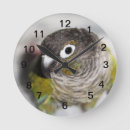 Recherche de perroquet vert horloges Mignon