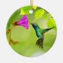 Suche nach möwe ornamente Natur
