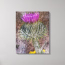Recherche de chardon de art Pourpre