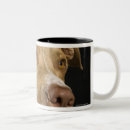 Recherche de nez rouge tasses Animal