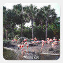 Suche nach flamingos aufkleber Vögel
