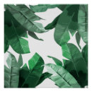 Recherche de feuille de banane posters Vert