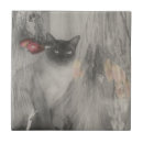 Recherche de le chat noir carreaux Pour elle