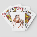 Suche nach appaloosa Western