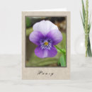 Recherche de pansement vœux cartes Fleurs