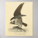 Suche nach vintage bird poster Retro