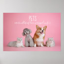 Suche nach zitate über hunde poster Foto