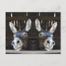 Recherche de miroir cartes postales Réflexion