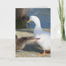 Suche nach lustige enten karten Dad