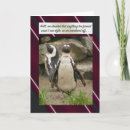 Recherche de pingouin humoristique cartes postales Pingouins
