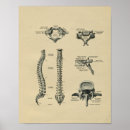 Suche nach wirbelsäule poster Anatomie