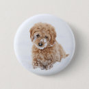 Suche nach im gesicht buttons Hund