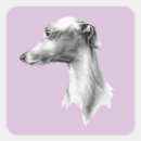 Suche nach whippets aufkleber Niedlich