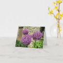 Recherche de oignons vœux cartes Fleur