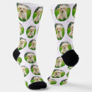 Recherche de animaux chaussettes Drôle