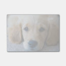 Suche nach junges tier post it Haustiere