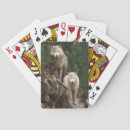 Recherche de loup blanc jeux de cartes Loups