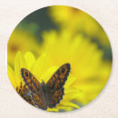 Recherche de marguerite dessous de verres Jaune