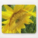Recherche de tournesol tapis souris Brillant