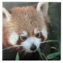 Recherche de australie carreaux Animal