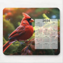 Suche nach roter kardinal mousepads Tulpen rot