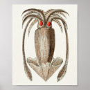 Suche nach cephalopod poster Vintag