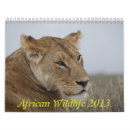 Suche nach afrikanisch kalender Löwe