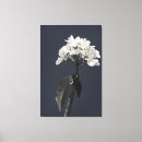 Suche nach plumeria leinwandbilder Natur