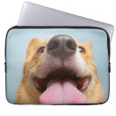 Suche nach corgie laptop schutzhüllen Welpe