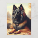 Recherche de belges cartes postales Dog
