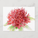 Suche nach protea postkarten Pflanze