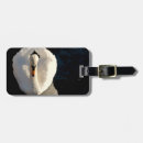 Recherche de photo accessoires voyage Plage