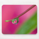 Suche nach wassertropfen mousepads Abstrakt