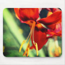 Recherche de étamine tapis souris Floral
