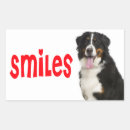 Suche nach sennenhund aufkleber Welpe
