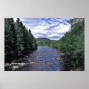 Suche nach dee poster Wald