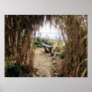 Recherche de cachette posters Océan