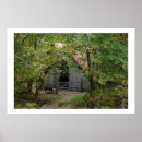 Recherche de vieil arbre posters Vieux