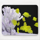 Recherche de aquarium tapis souris Vie marine
