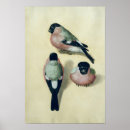 Recherche de bullfinch posters Aquarelle