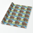 Recherche de bison américain papier cadeau Buffle