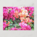 Recherche de bougainville cartes postales Nature