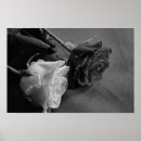 Suche nach alle stämme poster Mit blumen