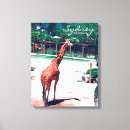 Suche nach animals leinwandbilder Giraffe