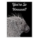 Suche nach stacheln postkarten Wild