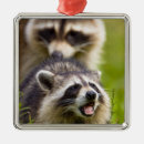 Recherche de mammifère ornements Fourrure