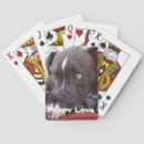 Recherche de nez jeux de cartes Pitbull